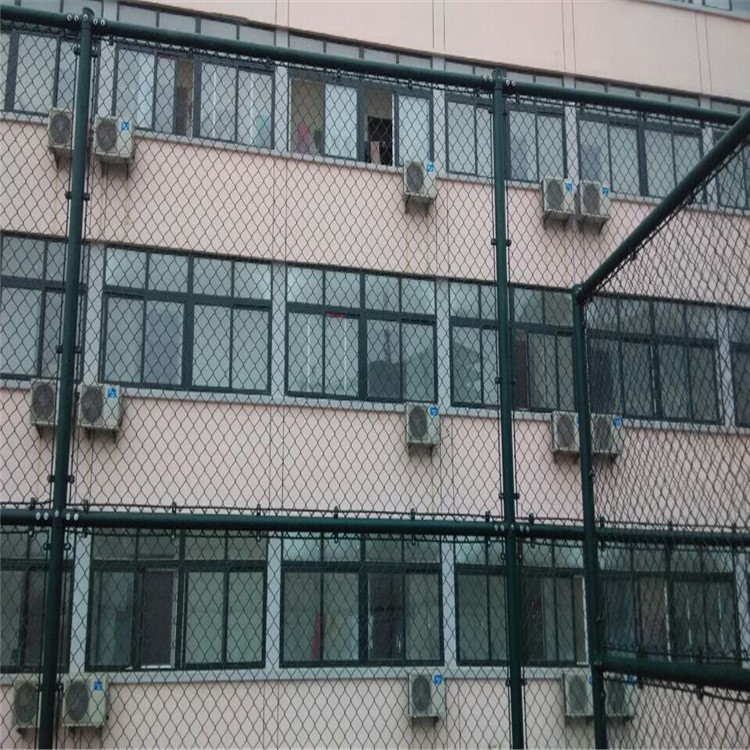學(xué)?；@球場圍網(wǎng)圖片2